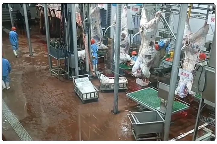 屠宰工廠惡臭影響周邊，使用除臭劑有什么注意要點(diǎn)？