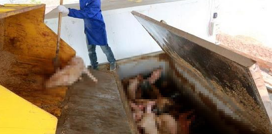 潔匠凈化·的凈工業除臭劑_動物無害化處理廠，惡臭異味危害大，工業除臭劑起作用！