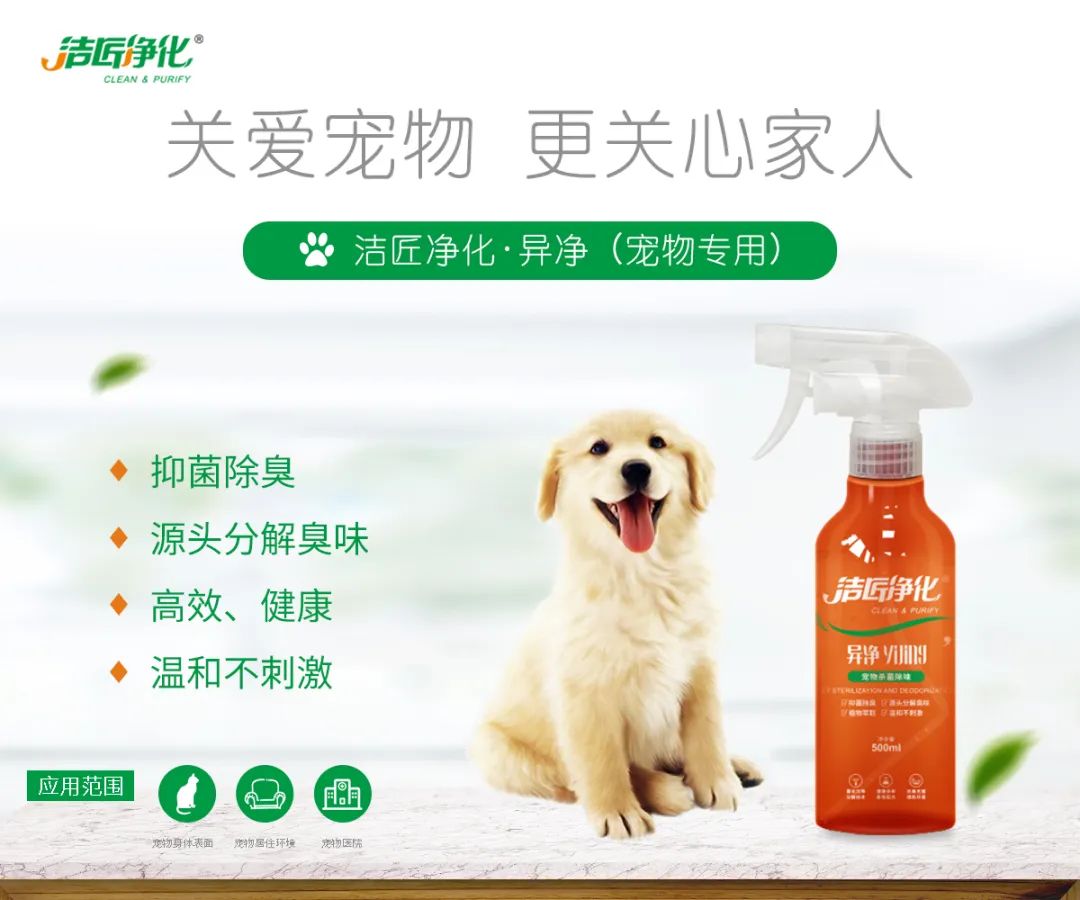 寵物氣味彌漫整個屋子，潔匠凈化教您如何除味