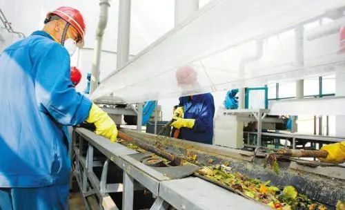 餐廚垃圾的不當處理已成為致霾致癌的一個重要成因.jpg 餐廚垃圾的不當處理已成為致霾致癌的一個重要成因.jpg